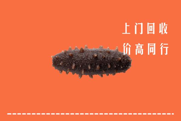 高价求购：策勒县回收海参