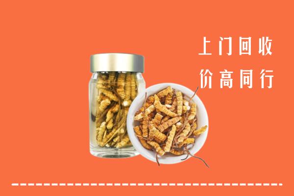 策勒县回收冬虫夏草